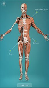 Anatomy Quiz 1.0 screenshot