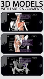 Learn Muscles 9.4 screenshot