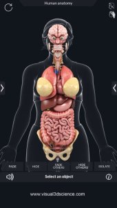 Organs Anatomy Organs Anatomy 1.4 screenshot
