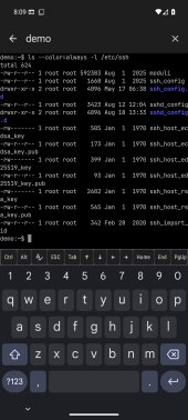 SSHBorg 1.19.1 screenshot