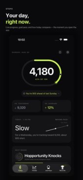 StepTracker 3.0.8 screenshot